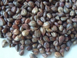 �ח��ӵĹ�Ч�����ü�����