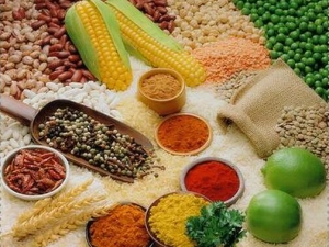 ������������� ������������ע������