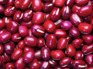 ���춹�Ĺ�Ч������ ������� ��ʪֹ��