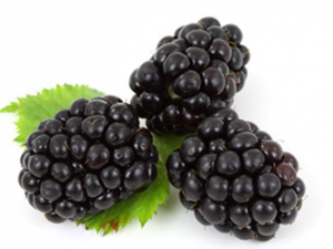 ��ݮ�������ཡ�� ��ݮ�Ĺ�Ч����