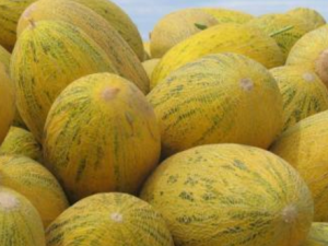 ���ܹϵĹ�Ч���� �Թ��ܹ�ʱע������