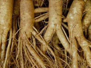 �˲��ܴ� �����������˶����˳�