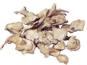 �������������� ������������Ч ������������������