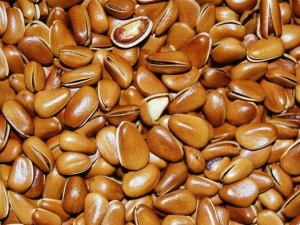 �����ʵ�Ӫ����ֵ �����ʵ�ʳ�÷���