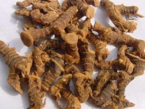 ���������� ��������Ч ��������������