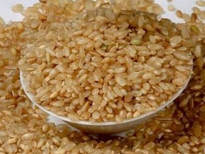 ���׵�Ӫ����ֵ ���׵�ʳ�÷���