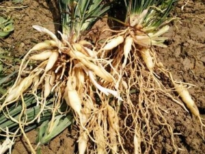 ���齵�������� ���齵������Ч ���齵������������