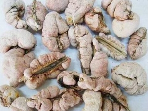 ���ûƵĹ�Ч�����ü�����