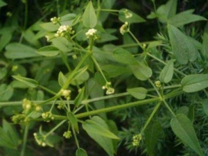 �����С��εļ���