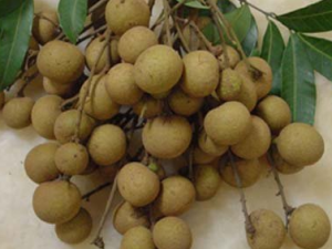 ʧ�ߵĵ�����ʽ ��ҽ�������ʧ��