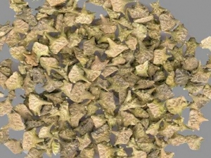 ��޼�账�� ��޼�蹦Ч ��޼���������