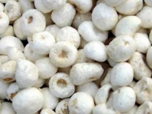 ���շ���ð��ʲô�� �θ�ð��ƫ���Ƽ���