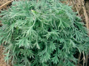 ����ʱ������Ҫע�� ��Щ����ǧ�����