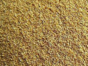 �����׿�