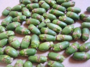 ��ô������?�����ƻ�������