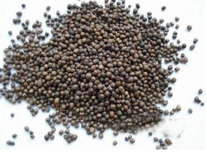 黄荆子的功效与作用及禁忌