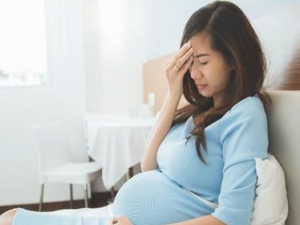 �������� ��֪����������Щ������