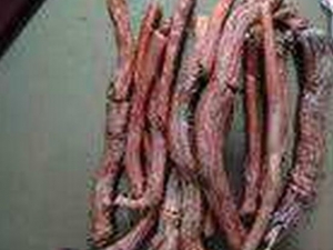 ��Ѫ���Ĺ�Ч������