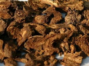 ��Ѫ��̥���������� ��Ѫ��̥��������Ч ��Ѫ��̥��������������