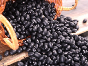 �ڶ�Ӫ����ֵ�� �Ƽ�����Ӫ��ʳ��