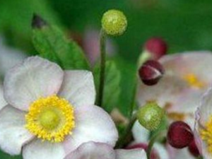 �����󶡲�