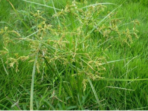 �����账�� �����蹦Ч �������������