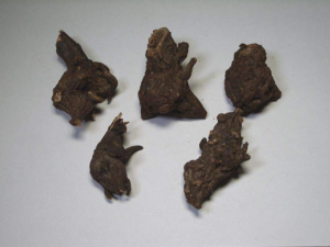 ������μ��� �������ʹ��