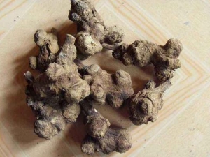 ��ǰ��ʪ������ ��ǰ��ʪ����Ч ��ǰ��ʪ����������