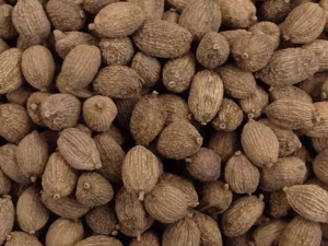 ��ɰ�ʵĹ�Ч������ ����ƽ��