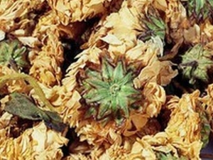 ��֦Ҷ�Ĺ�Ч������ ��֦Ҷ�ĸ���