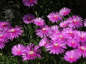 ����������Թ��� �������յ�����