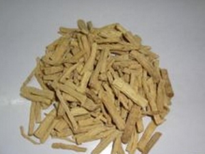 ţ���εĹ�Ч������