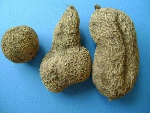 ���魵Ĺ�Ч�����ü�����