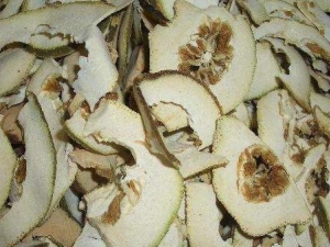 Ӫͨɢ ӪͨɢЧ Ӫͨɢ