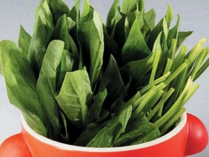 �＾������ʲô�� �����γ�ʲô�߲˺�