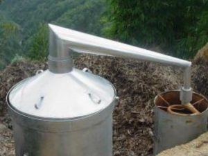 ����_���͵Ĺ�Ч|��������