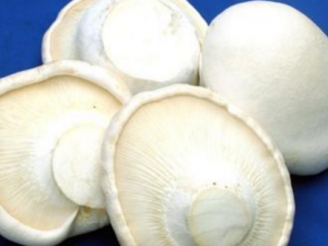 ��κ���_��κ����Ĺ�Ч|�÷�