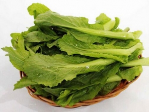 �ļ�������η���ʪ ���Կ�ϰɣ�