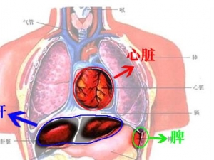 ��μ�������Ƿ��ж� ����ų����඾��