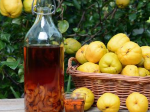 �������Щ��Ч ����������׳������