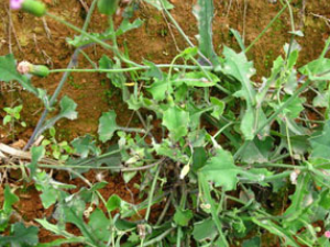 �����_����ݵĹ�Ч����|�÷�