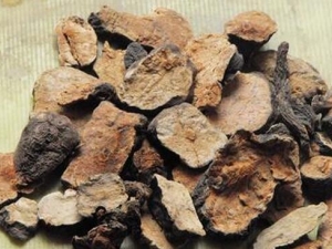 �����ڵļ��𷽷� �����ڵ�ʳ�÷���