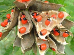 ��˼�ӵĹ�Ч�����ü�����