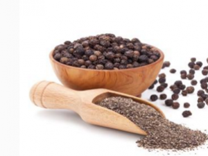 ��Щ�˲��ʺϻ�������ˮ�ݽ� ��������ˮ�ݽź���