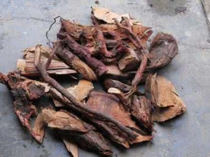 ��ӣ���Ĺ�Ч������ ������ɬ ֹѪ����