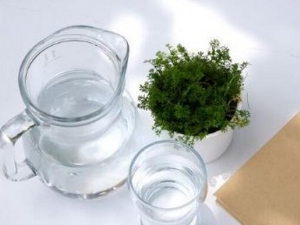 ������������ϰ�� ��Ư��Ů��