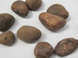 ����ӵĹ�Ч�����ü�����Ӧ��