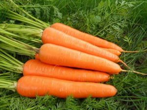 ����Ƭȥ��ӡ���� ��β����ӡ