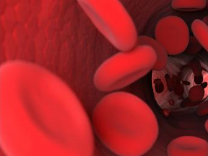 ��ô������ѪҺѭ������ С��������֧��