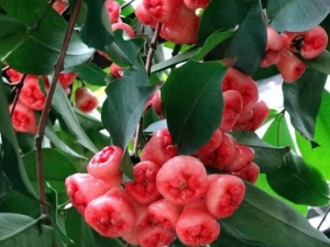 Ů�˳�ʲô��ǿ������ ���������ٿ��Գ���